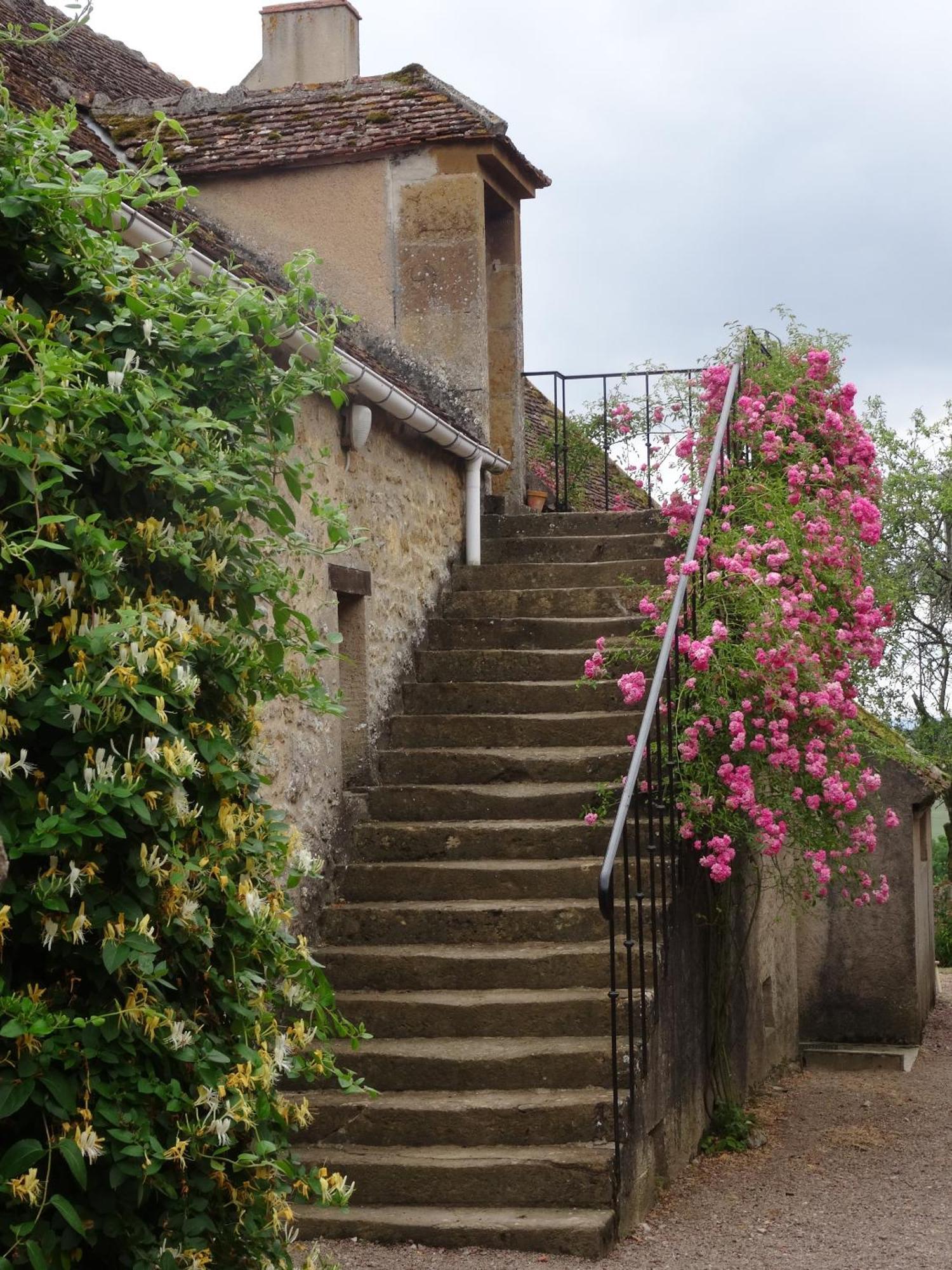 Bed and Breakfast Domaine De Dremont Anthien Экстерьер фото