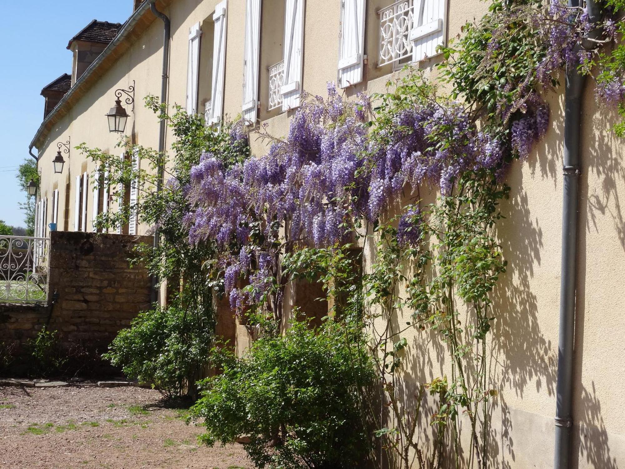 Bed and Breakfast Domaine De Dremont Anthien Экстерьер фото