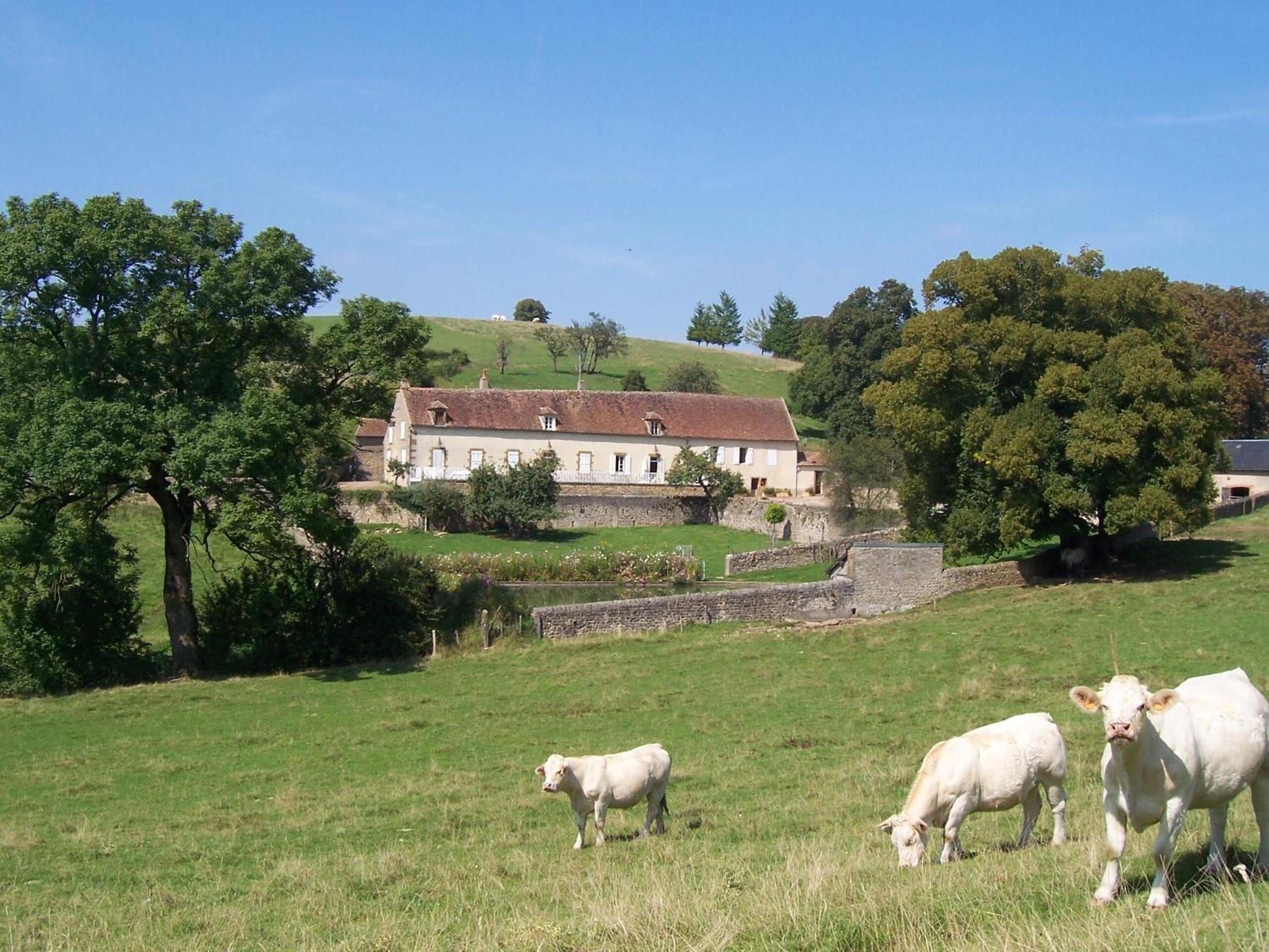Bed and Breakfast Domaine De Dremont Anthien Экстерьер фото